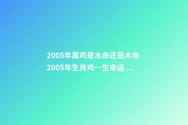2005年属鸡是水命还是木命 2005年生肖鸡一生命运 2005年属鸡是什么命-第1张-观点-玄机派